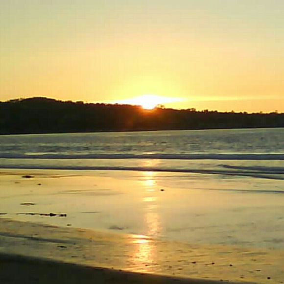 Meet your Posher, Christine and Bridgette🐾 - Picture 2 of 16